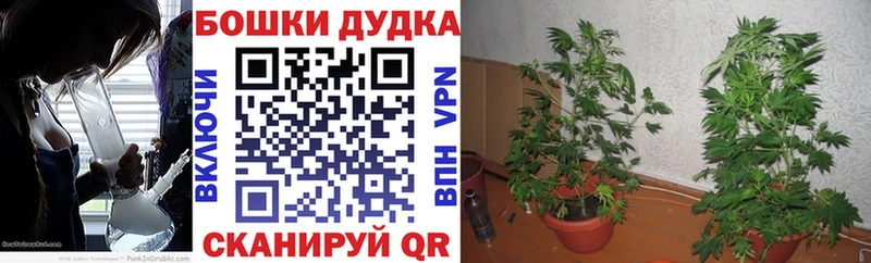 Что такое Светлоград СОЛЬ  МАРИХУАНА  Меф мяу мяу  Гашиш  Кокаин 
