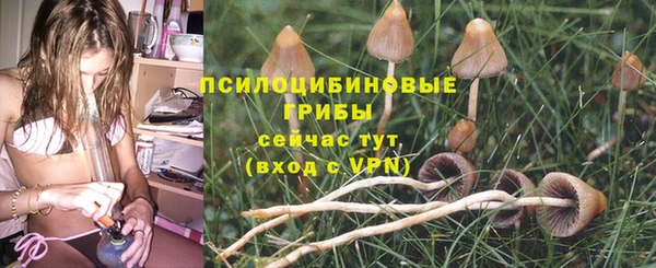 сатива Баксан