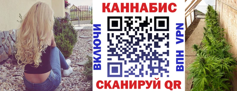 купить наркоту  Светлоград  Конопля конопля 
